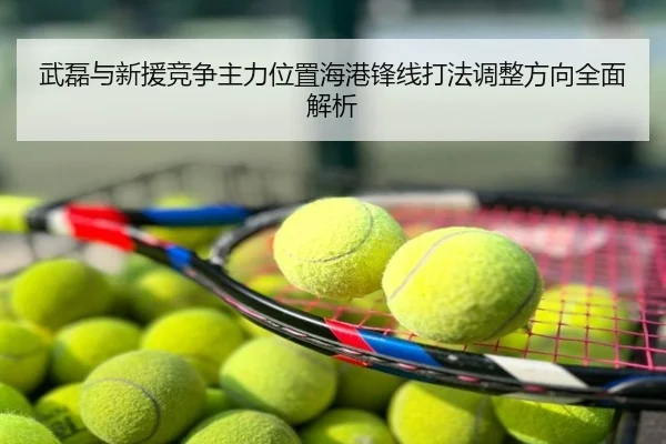 武磊与新援竞争主力位置海港锋线打法调整方向全面解析